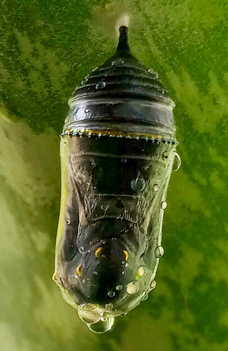 20221202 114650 1 768x1179